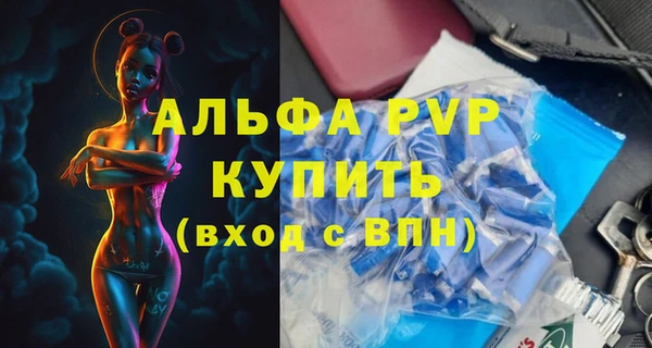 шишки Тында